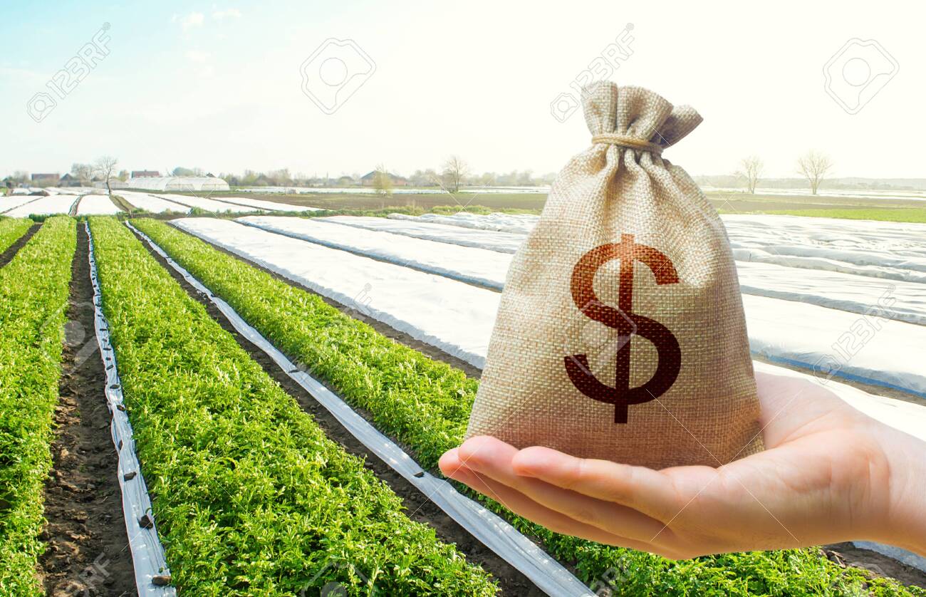 Socios de la bolsa agrícola